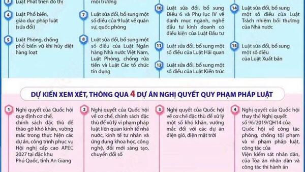 Kỳ họp không thường lệ thứ Nhất, Quốc hội khóa XVI