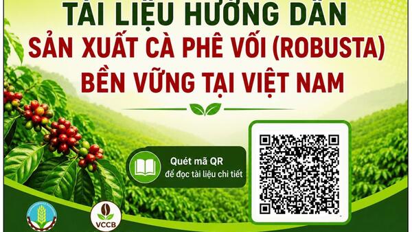 TÀI LIỆU HƯỚNG DẪN SẢN XUẤT CÀ PHÊ VỐI (ROBUSTA) BỀN VỮNG TẠI VIỆT NAM