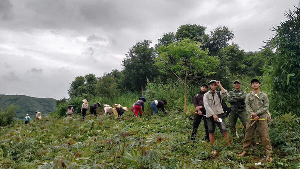 HƠN 150 ĐOÀN VIÊN, THANH NIÊN, PHỤ NỮ THAM GIA GIÚP NGÀY CÔNG CHO CÁC GIA ĐÌNH CHÍNH SÁCH NHÂN DỊP 77 NĂM NGÀY THƯƠNG BINH LIỆT SĨ (27/7/1947- 27/7/2024)